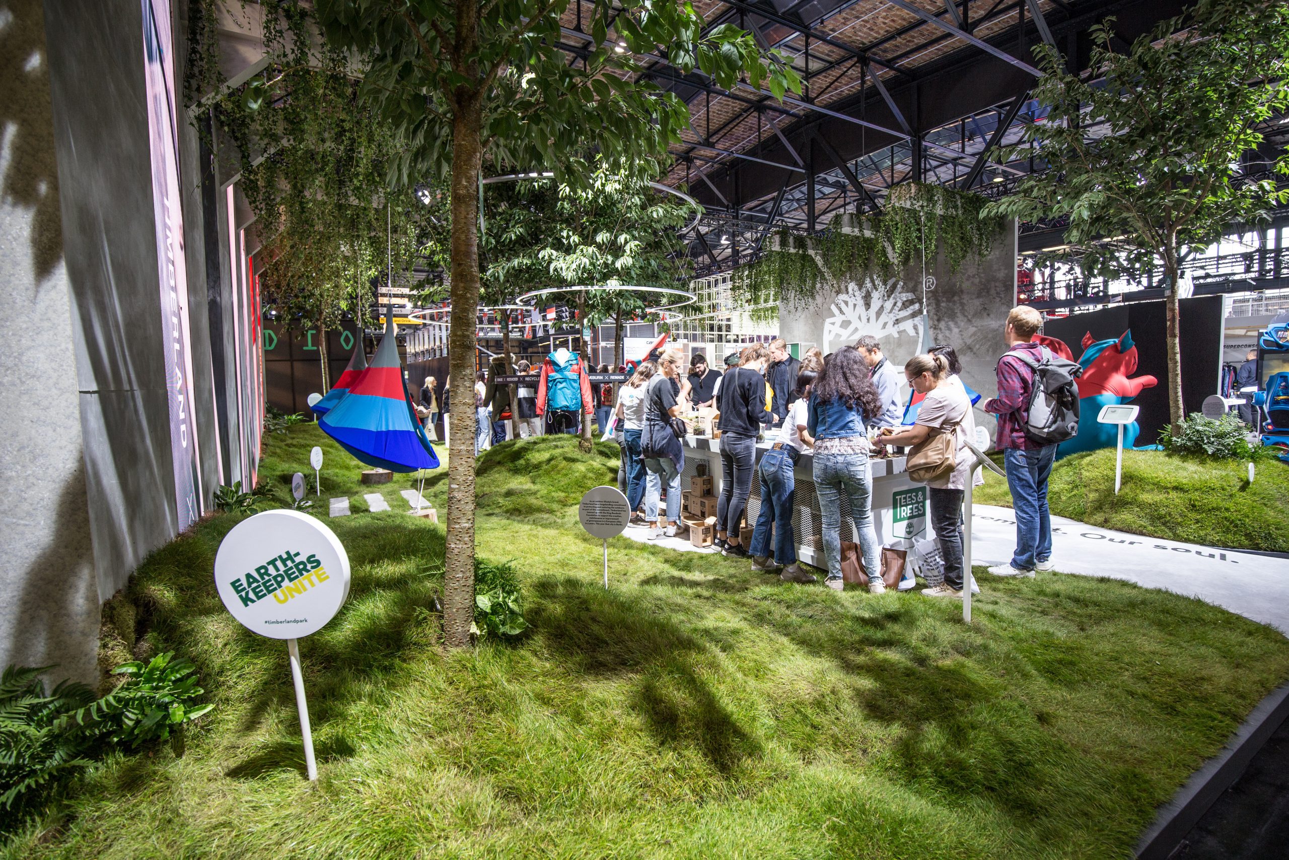 timberland (3 of 60)