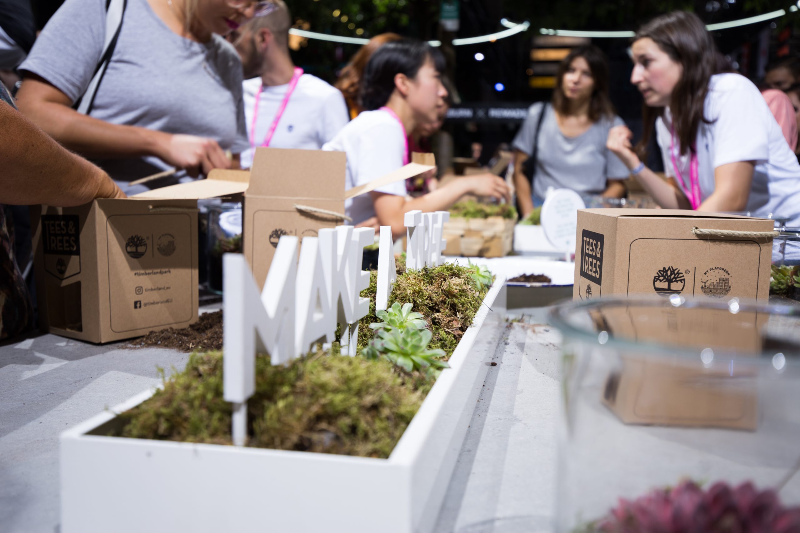 timberland (56 of 60)